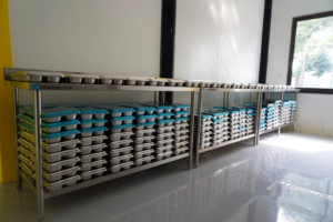 Dukung Program MBG, Krakatau Steel Genjot Produksi Food Tray Targetkan 1 Juta Unit per Bulan