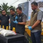 Kementerian Kehutanan Ungkap Asal-Usul Pohon yang Terbawa Banjir di Batangtoru, Tapanuli Selatan