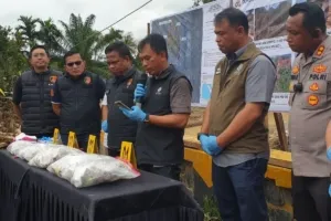 Kementerian Kehutanan Ungkap Asal-Usul Pohon yang Terbawa Banjir di Batangtoru, Tapanuli Selatan