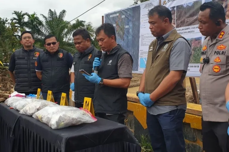 Kementerian Kehutanan Ungkap Asal-Usul Pohon yang Terbawa Banjir di Batangtoru, Tapanuli Selatan