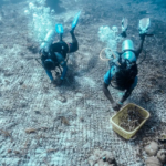 Wamenpar Tegaskan Pariwisata Berkelanjutan Jadi Fondasi Daya Saing Global Indonesia