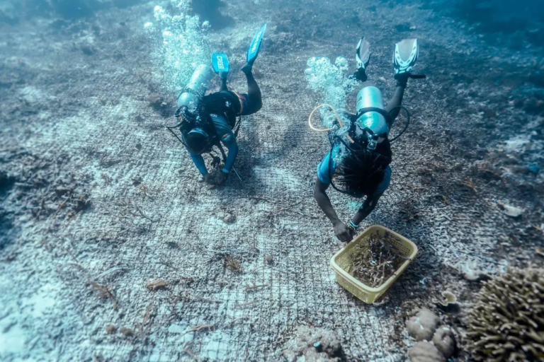 Wamenpar Tegaskan Pariwisata Berkelanjutan Jadi Fondasi Daya Saing Global Indonesia