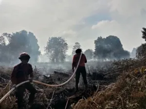 Tangani Karhutla Riau, Kemenhut dan Para Pihak Lakukan Pemadaman Gabungan Darat dan Udara