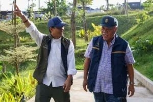 Rehabilitasi Hutan 1.805 Hektar di IKN, Indonesia Kian Siap Jadi Forest City