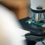 BPDP Buka Program Grant Riset 2026, Dorong Inovasi Sektor Perkebunan