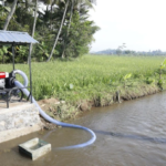 Pompanisasi dan Pupuk Terjaga, Petani Tetap Produksi di Tengah Kemarau
