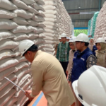 Tertinggi Sepanjang Sejarah, Wamentan Sudaryono: Stok Beras RI Tembus 5 Juta Ton di Era Presiden Prabowo