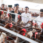 Dinilai Berhasil, Taj Yasin Minta Seluruh OPD Jateng Contek Model Pengembangan Desa Kranggan Klaten