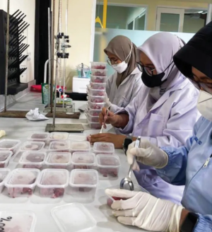 Cegah Kecurangan Pangan, BRIN Kembangkan Teknologi Deteksi Modern