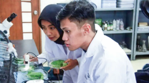 Mahasiswa ITS Ciptakan Inovasi Nanopestisida Tahan Hujan dan UV