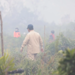 Presiden Prabowo Susuri Lahan Terbakar di Kubu Raya, Pastikan Penanganan Karhutla Berjalan Optimal