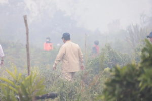 Presiden Prabowo Susuri Lahan Terbakar di Kubu Raya, Pastikan Penanganan Karhutla Berjalan Optimal