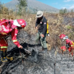 Api Karhutla di Resor Sembalun TN Gunung Rinjani Berhasil Dikendalikan, Kemenhut Lanjutkan Mopping Up