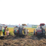Mentan Amran Pastikan Pangan Nasional Aman Hadapi El Nino: Produksi Tetap Kuat, Surplus Terjaga