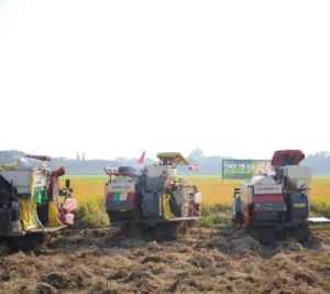 Mentan Amran Pastikan Pangan Nasional Aman Hadapi El Nino: Produksi Tetap Kuat, Surplus Terjaga