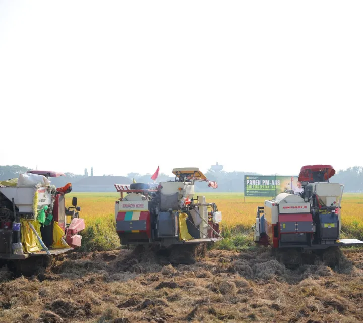 Mentan Amran Pastikan Pangan Nasional Aman Hadapi El Nino: Produksi Tetap Kuat, Surplus Terjaga