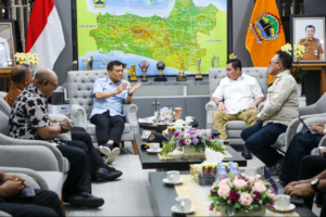 Sebelum “Giant Sea Wall” Membentang, Pemerintah Masifkan Penanaman Mengrove